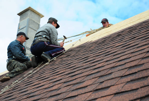 Best Commercial Roofing Services  in Altamont, IL